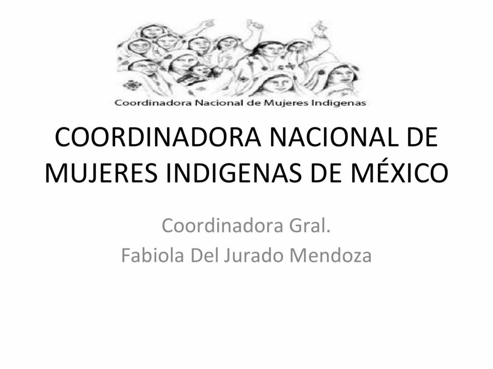 COORDINADORA NACIONAL DE MUJERES INDIGENAS DE MÉXICO_0-1.jpg