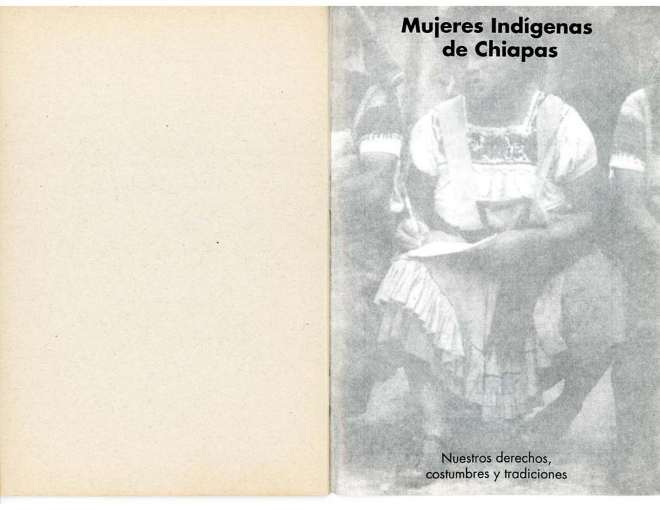 Mujeres Indigenas de Chiapas-page-002.jpg